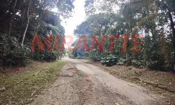 Imagem 2: Em Serra Da Cantareira