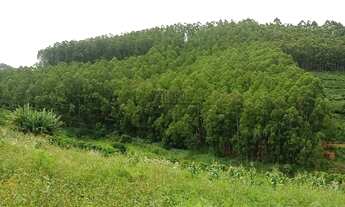 Imagem 7: Fazenda à venda 210M², ÁREA RURAL DE COLATINA, COLATINA - ES