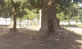 Imagem 7: Terreno - Jardim Campo Belo - Campinas