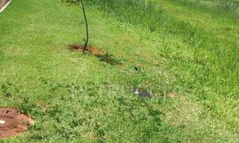 Imagem 7: Terreno - Santa Úrsula - Jaguariúna