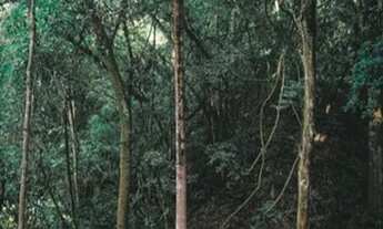 Imagem 3: Conquiste agora o terreno dos seus sonhos