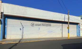 Imagem: Galpão Normal Vila Tibério Área Construída