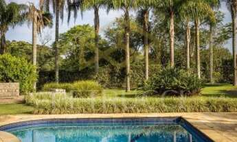 Imagem 4: Sítio - Centro - Tuiuti