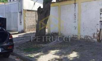 Imagem 5: Terreno - Vila Mimosa - Campinas