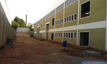 Imagem 3: GALPÃO - PARQUE SÃO PEDRO - SP