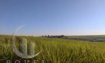 Imagem 5: Fazenda para Venda em Ipeúna, zona rural, 2 dormitórios, 2 banheiros