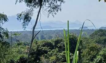 Imagem 6: Vendo terreno no Rio pequeno 15 min de Paraty