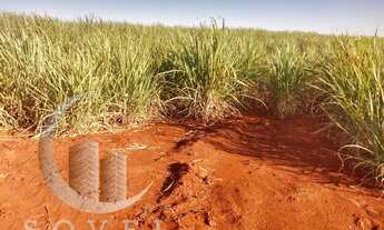 Imagem: Fazenda para Venda em Ipeúna, zona rural