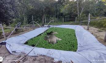 Imagem 4: Sitio 120x250 em Terra Alta por R$180 mil reais