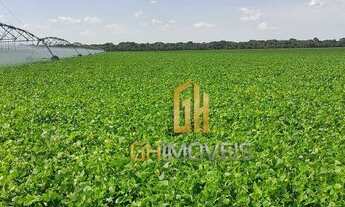 Imagem 6: Fazenda com 2 dormitórios à venda, m² por R$ 400.000.000 - Zona Rural - Jussara/GO