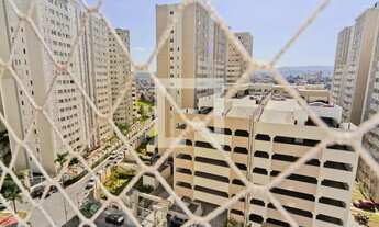 Imagem 5: Apartamento para Aluguel - Jardim Iris , 2 Quartos, 43 m2