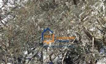 Imagem 4: Apartamento com 3 dormitórios à venda, 122 m² por R$ 1.050.000,00 - City América - São Pau