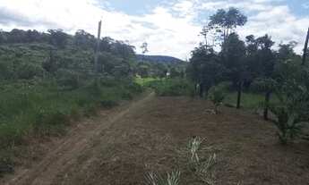 Imagem 4: Valor Sítio BR 174 km 202 ramal do Robertinho