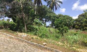 Imagem: Terreno em Pirangi do Norte 392m²