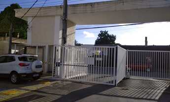 Imagem 5: Alugo Jardim das Margaridas