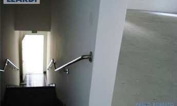 Imagem 6: LOJA - SANTANA - SP