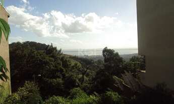 Imagem 4: Porto Alegre - Terreno Padrão - Teresópolis