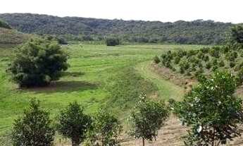 Imagem: Fazenda em Jacupiranga