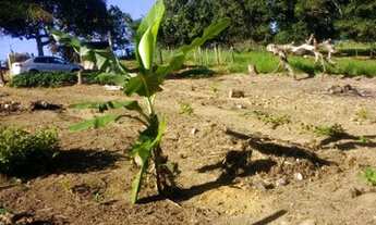 Imagem: Chácara em Pedro palácio Ibiraçu