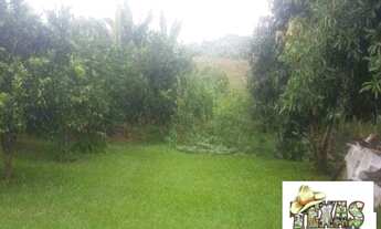 Imagem 7: ChacaraMinasGerais