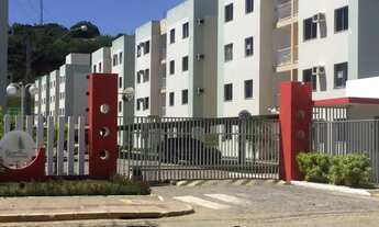 Imagem: Recanto das palmeiras