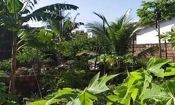 Imagem: Terreno no parque do sol gramame