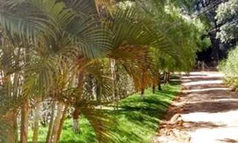 Imagem 2: CHACARA - VALE VERDE - SP