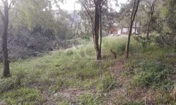 Imagem 6: Porto Alegre - Terreno Padrão - Vila Nova