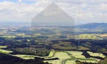 Imagem 7: Terreno - Centro - Itupeva