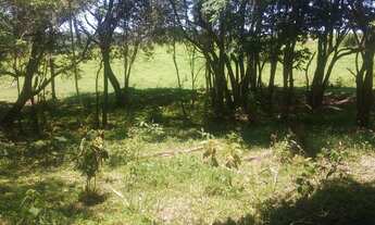 Imagem 2: Casa de condomínio para venda com 1000 metros quadrados em Centro - Alumínio - SP