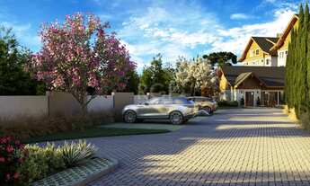 Imagem 4: Canela - Apartamento Padrão - Canelinha Saiqui