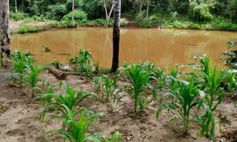 Imagem 2: Propriedade rural