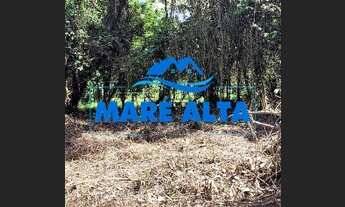 Imagem 6: Terreno a venda Ubatumirim