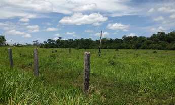 Imagem 6: Vendo 4 lotes em Rorainopolis