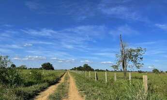 Imagem 5: VENDO EXCELENTE FAZENDA NA REGIÃO DE JUSSARA GO