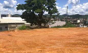 Imagem 3: Lote alto Ipiranga