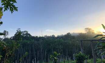 Imagem 2: Área de terra em Itaituba, PA