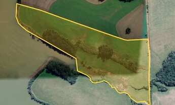 Imagem: Lote/terreno à venda em Nicolau Vergueiro