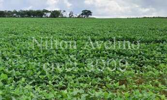 Imagem 3: Fazenda em lavoura 1000ha
