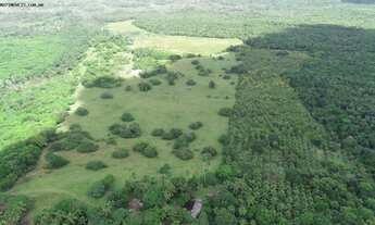 Imagem 6: Fazenda para Locação em Camaçari, Monte Gordo