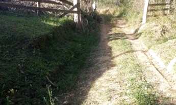 Imagem 2: Fazenda/Sítio/Chácara para venda em Cai de baixo - Quitandinha - Paraná