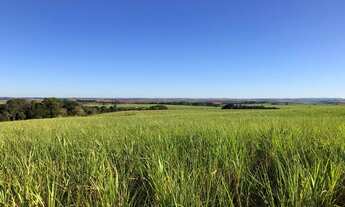 Imagem 7: Fazenda 96 Alqueires, Região de Botucatu-Sp
