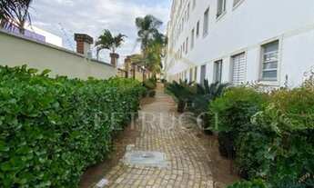 Imagem 2: Apartamento - São Bernardo - Campinas