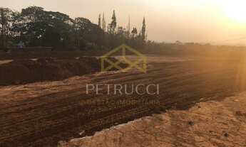 Imagem 7: área - Vila Ipê - Campinas