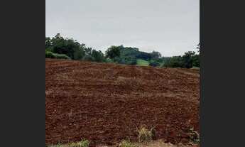 Imagem 6: Chácara à venda, 2.5 alqueires mecanizados, localizada no município de Corumbataí do Sul