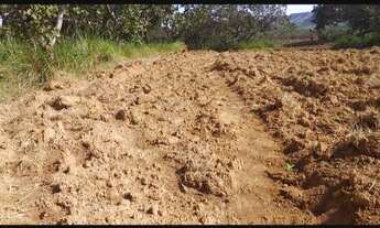 Imagem 7: Lote de chácara em Palmas saída para Lajeado