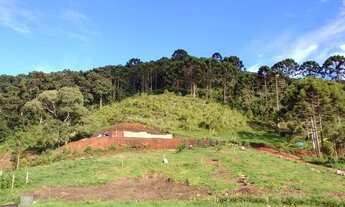 Imagem 5: Vendo Sítio/Chácara Baixei o valor somente este mês