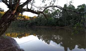 Imagem 6: Chácara a venda na usina mourão em Campo mourão 27.211 m2