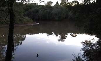 Imagem 2: Chácara a venda na usina mourão em Campo mourão 27.211 m2