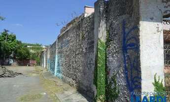 Imagem 6: CASA TÉRREA - BUTANTÃ - SP